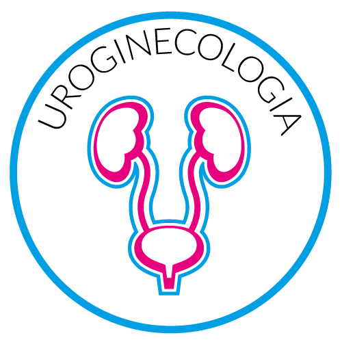 Uroginecologia