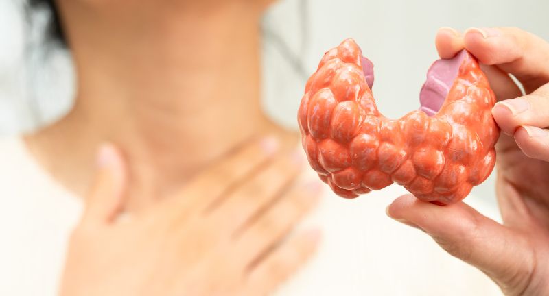 ecobi-endocrinologia endocrinologia